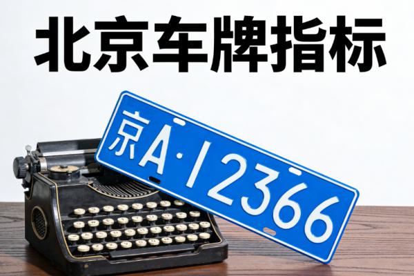 2026年租北京牌子多少钱一个