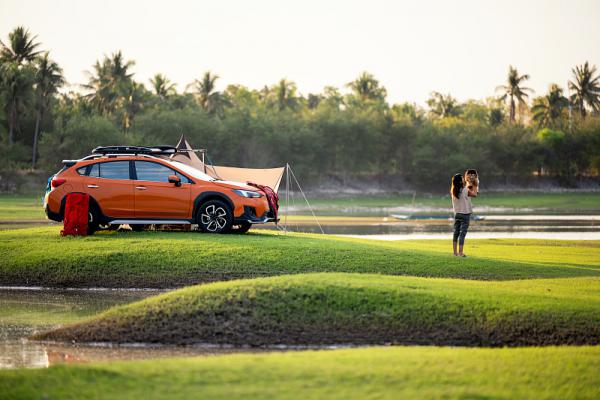 京牌租用避坑指南大全