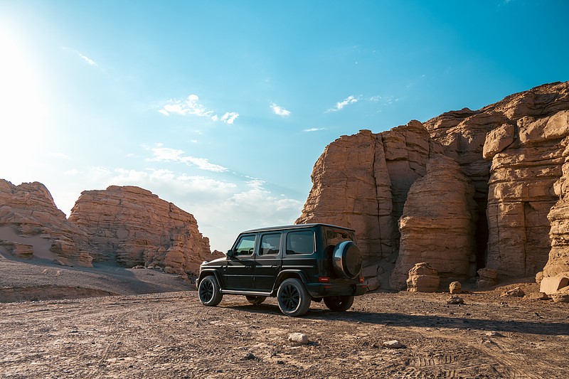 德国政府19日宣布，对新购入电动汽车的家庭提供最高可达6000欧元的补贴